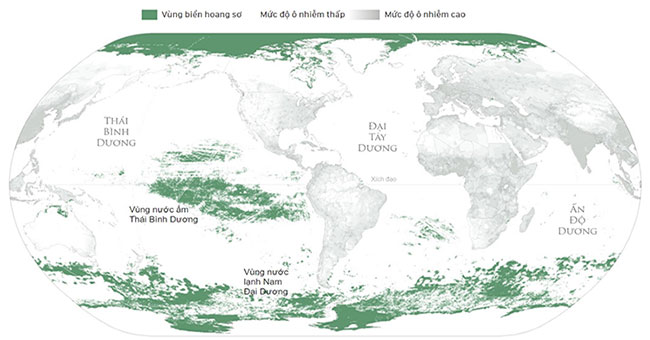 The ocean is vast but most of the area has been invaded by humans.