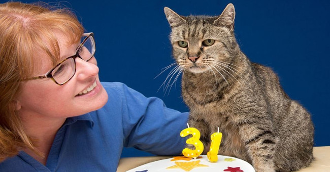 The oldest cat in the world is equivalent to the 141-year-old