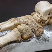 The oldest DNA decoding of people 400,000 years ago