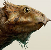 The oldest horned dinosaur in North America