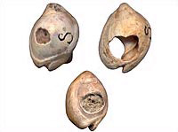 The oldest jewelry in the world