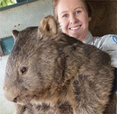 The oldest pocket bear in the world