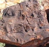 The oldest sign of life