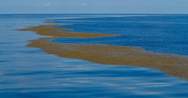 The only mystery about the sea is not in the world