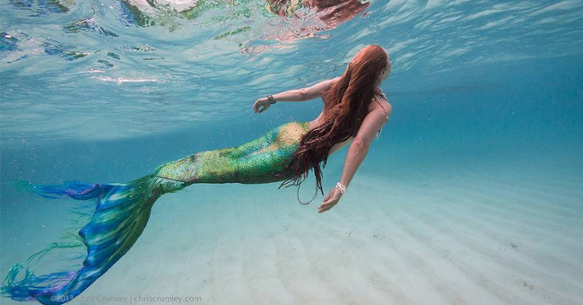 The origin of the mermaid under a scientific perspective