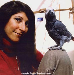 The parrot 'serves' science for 30 years has passed away