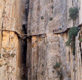 The path of