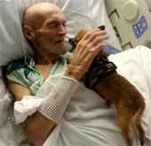 The patient miraculously recovered after meeting his dog