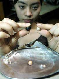 The person who discovered the secret of raising black pearls