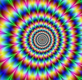 The phenomenon of optical illusion appears in some animals