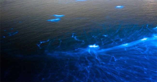 The phenomenon of peculiarities on the sea has occurred for hundreds of years but science cannot decipher!