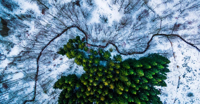 The photos from the flying camera are most impressive