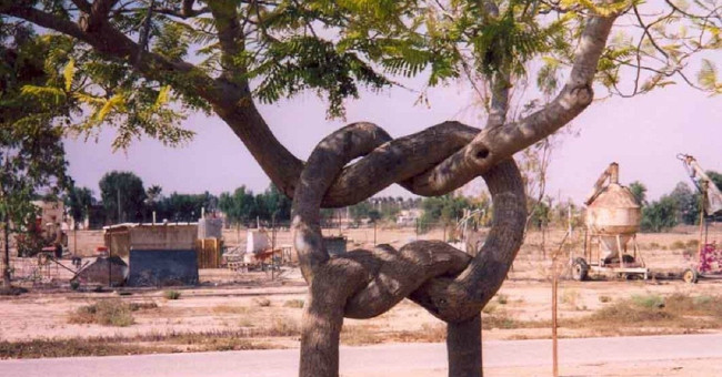 The photos imagined photoshop but 100% real