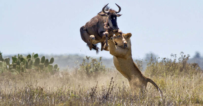 The photos surprise you because you can't believe it's real