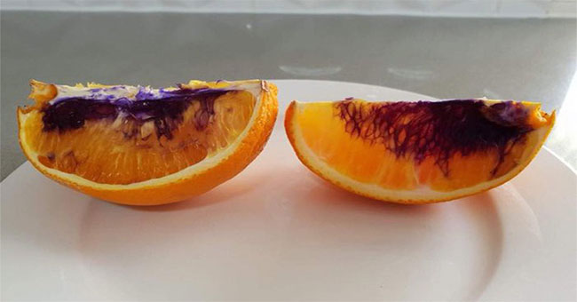 The piece of orange orange turned purple after only one night, the scientific community did not understand why
