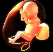 The placenta test helps detect autism risk