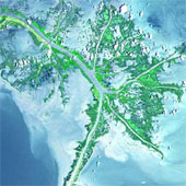 The plains in the world are under threat