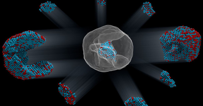 The position structure of 23,000 atoms was first identified