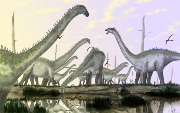 The posture of long-necked dinosaurs is completely wrong