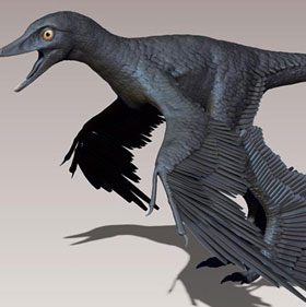 The predatory dinosaur has four wings