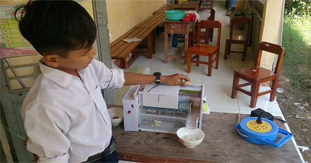 The primary school boy from the Khmer made an automatic poisonous quail egg peeling machine