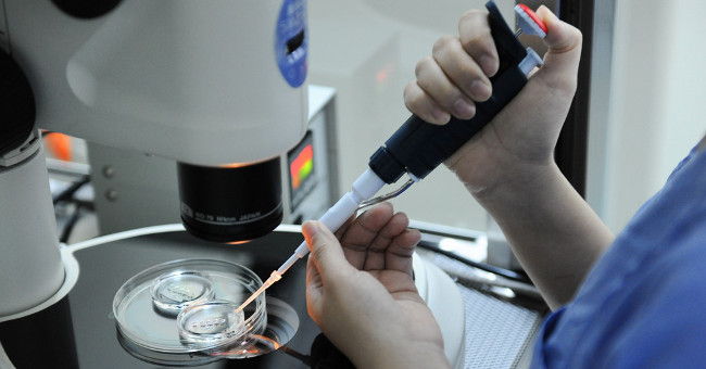 The process of creating babies in test tubes