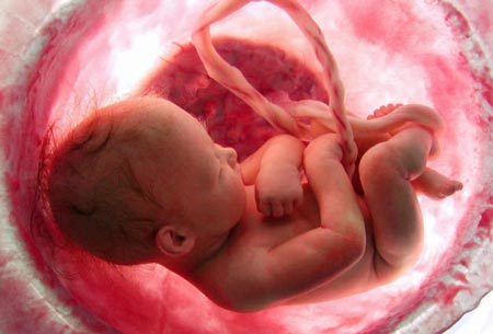 The process of forming a person from conception to birth