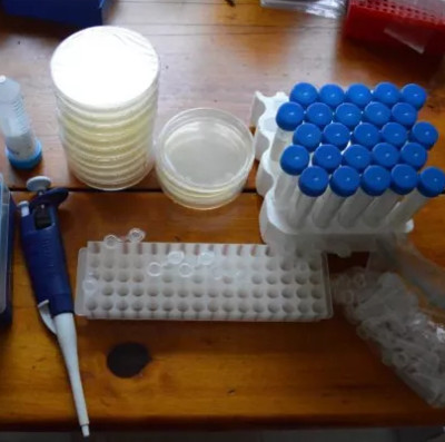 The project helps you to edit your own DNA at home