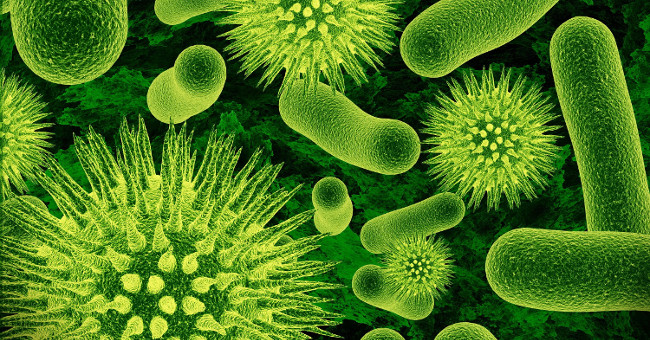 The project hunts for 1.7 million unknown viruses