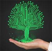The project turns trees into multi-purpose biological sensors