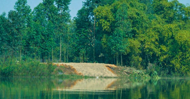 The proposal to discover the new Hoan Kiem turtle to Dong Mo