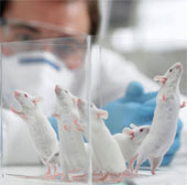 The prospect of extending human life by 16 years