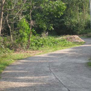 The provinces of Bac Bo are sunny and sunny, the temperature increases gradually
