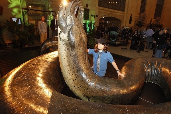 The pythons born were decided into giant monsters