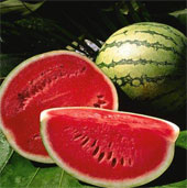 The reason you should eat watermelon this season