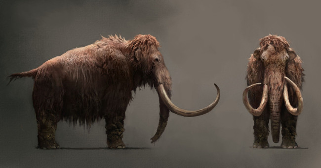 The reasons for extinction of animals are more difficult than we imagined
