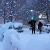 The record snowstorm swept across Japan causing massive casualties