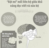 The relationship between literacy and the brain