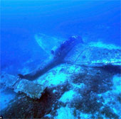 The remains of the German bomber intact at the bottom of the sea