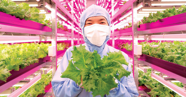 The remarkable vertical farm in the world