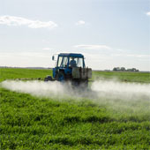 The risk of children with autism is caused by their mother's exposure to pesticides during pregnancy