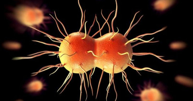 The risk of gonorrhea into drug-resistant disease