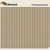 The risk of the 6th great extinction on Earth