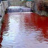 The river of blood appeared after a night