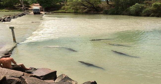 The river of death where crocodiles staggered their lives