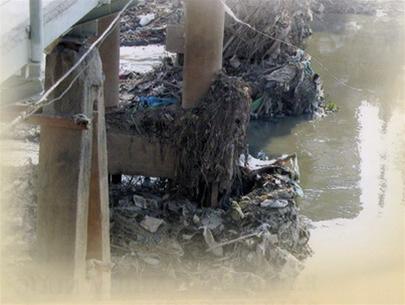 The rivers are about to die!