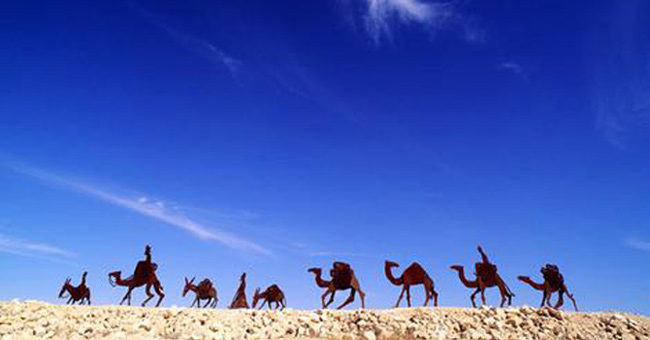 The road of aromatherapy and deserted Negev cities
