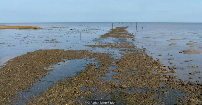 The road of 'hell' kills more than 100 people in the UK