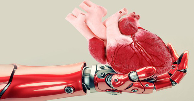 The robot can now cultivate human organs quickly