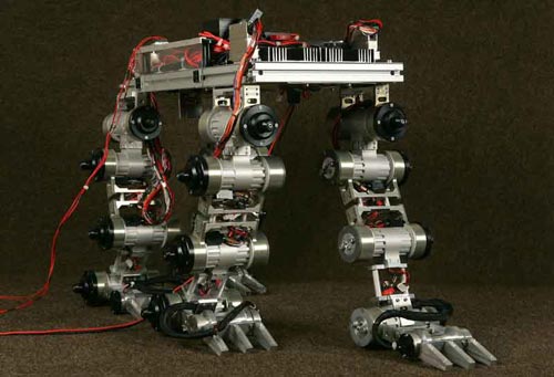 The robot cat explores the planet